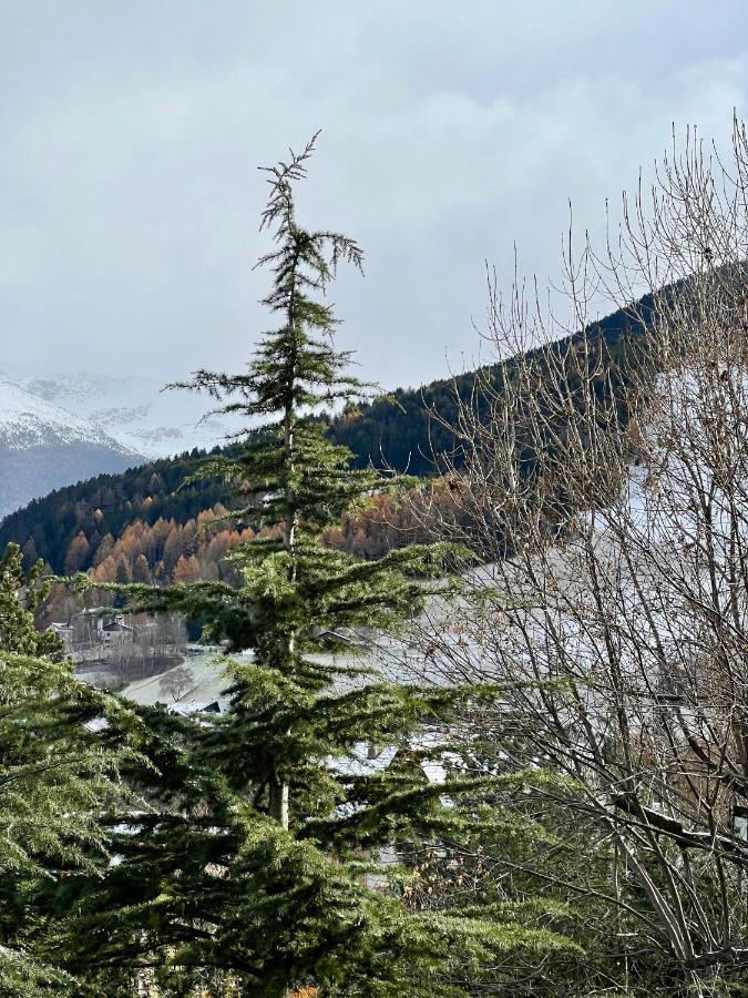 Il Pettirosso - Casa Vacanze Bormio Extérieur photo